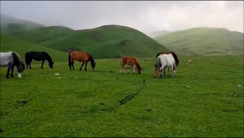 बडीमालिका : जहाँ सौन्दर्यताले मन छुन्छ, धार्मिक आस्थाले आत्मा